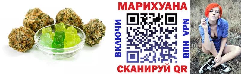 Купить закладки  Гудермес  Canna-Cookies конопля 