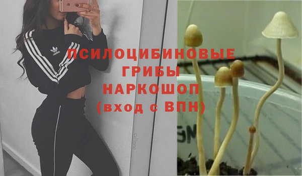 дмт Кинешма