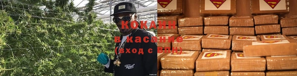 дмт Кинешма
