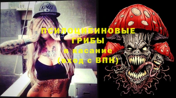 дмт Кинешма