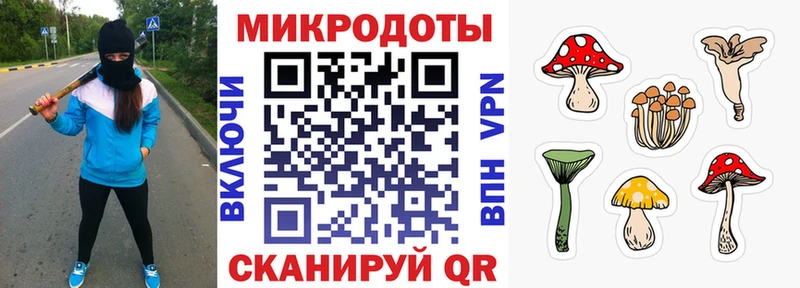Купить Гудермес Псилоцибиновые грибы Psilocybe